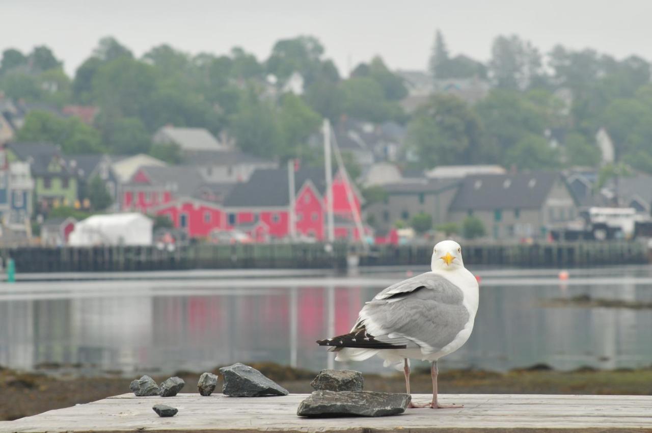 Smugglers Cove Inn Lunenburg Zewnętrze zdjęcie