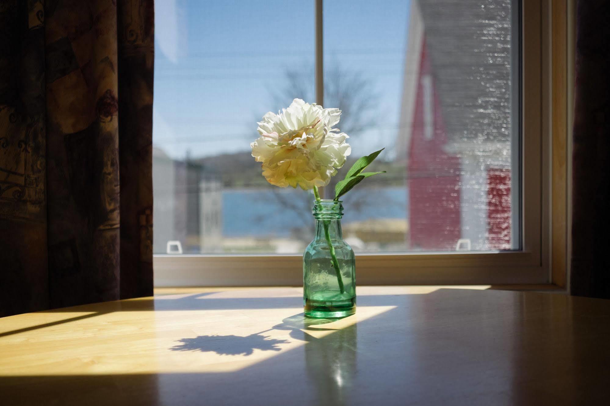 Smugglers Cove Inn Lunenburg Zewnętrze zdjęcie